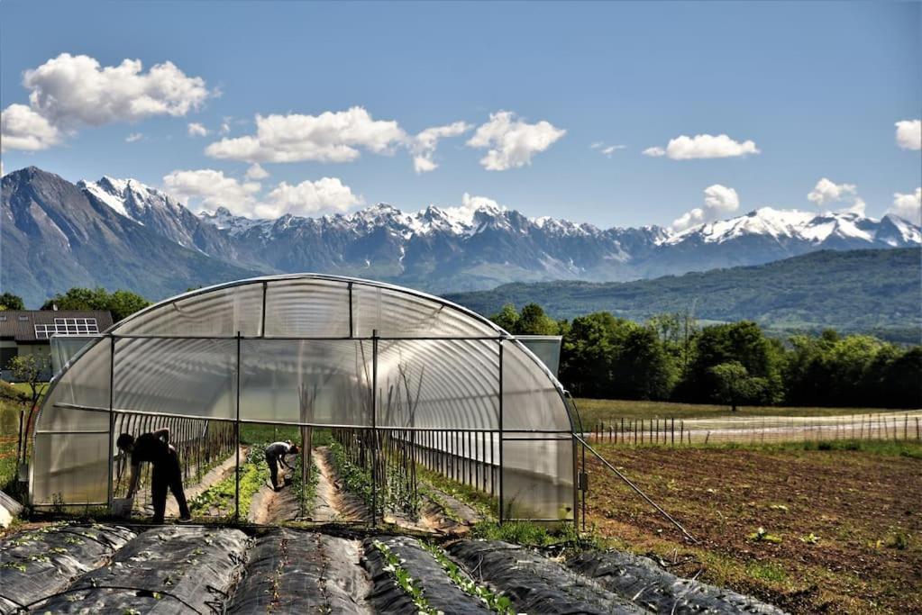 Double Bedroom, Kitchen, Bathroom In Organic Farm Belluno Exterior foto